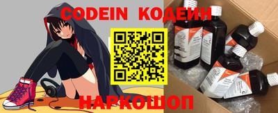 стаф Можга