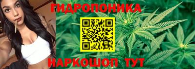 стаф Можга