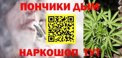 стаф Можга