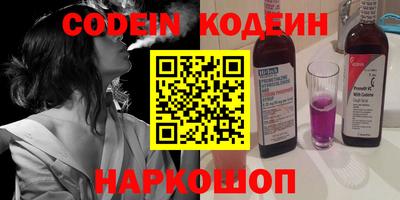 стаф Можга
